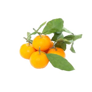 Clementines